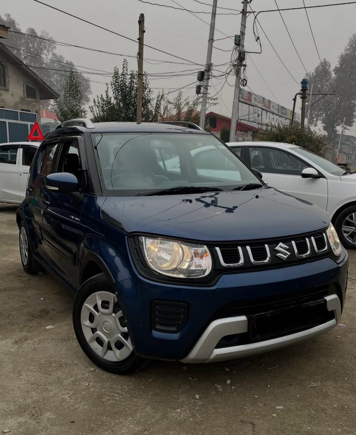 Maruti Suzuki Ignis Delta